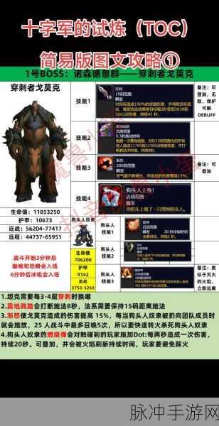 魔域战士高输出攻略,掌握核心技巧,成就战场霸主之路