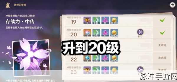 原神雷之印商店位置及兑换攻略全面解析