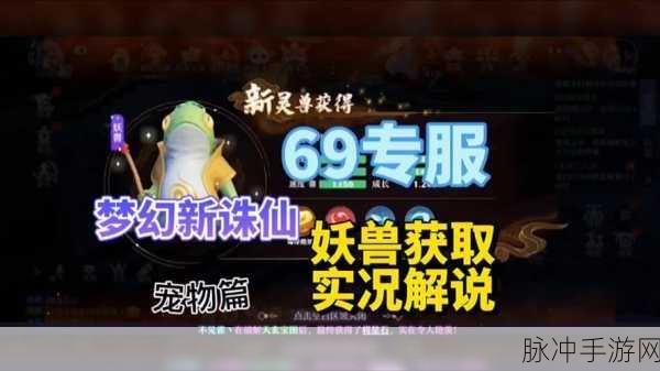 梦幻新诛仙妖兽独钓仙加点全攻略