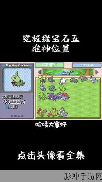 口袋妖怪绿宝石，探索神秘的海马之旅全面攻略