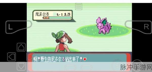 口袋妖怪绿宝石,探索神秘的海马之旅全面攻略