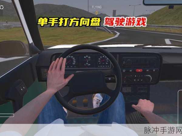 G29方向盘助力，深度探索GTA 5手游世界的驾驶乐趣