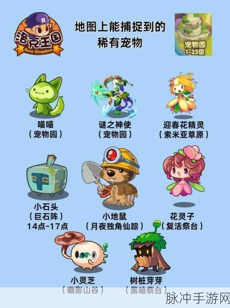 探索洛克王国节令宠物全览，揭秘每个节令宠物的独特魅力