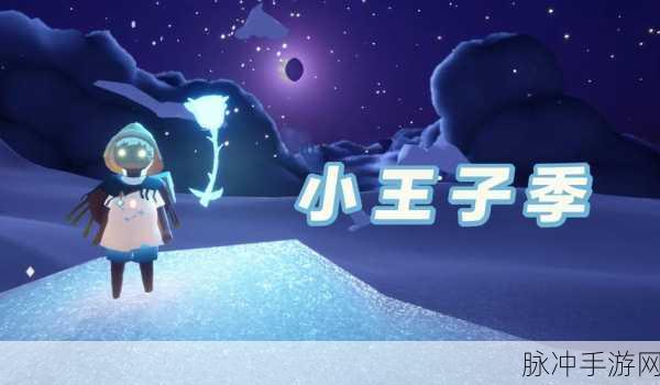 光遇小王子任务全攻略，从入门到精通的详细指南