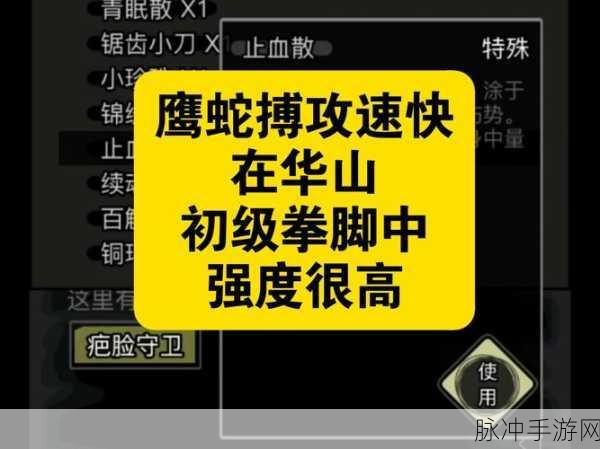 放置江湖真武剑攻击力深度剖析,揭秘其实际伤害输出价值