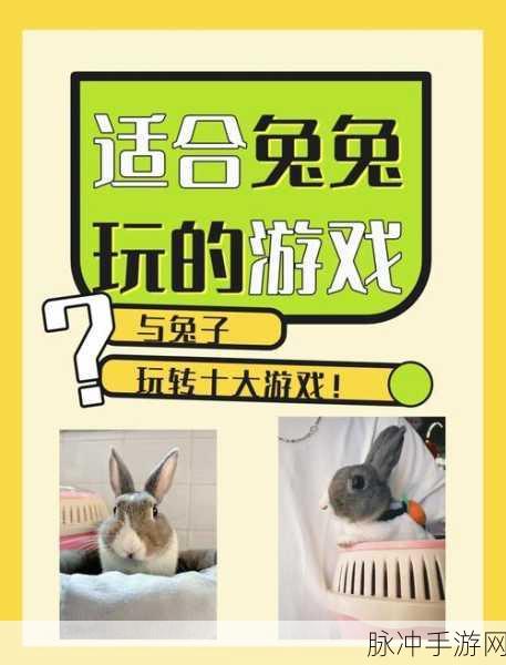 兔子来猜猜,欢乐益智答题之旅的游戏攻略与下载指南