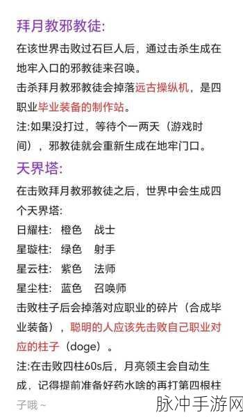 玩游侠平台的泰拉瑞亚刚进去就弹出来怎么办？全面解析与解决方案