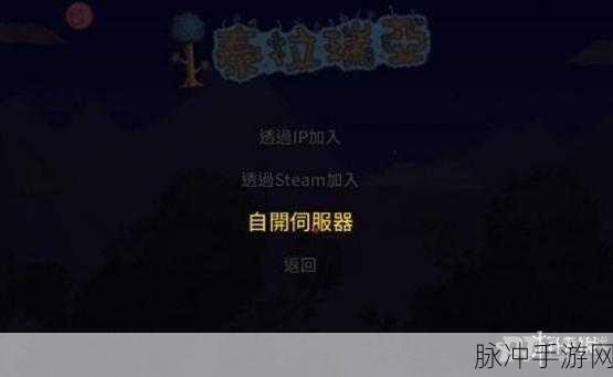 玩游侠平台的泰拉瑞亚刚进去就弹出来怎么办?全面解析与解决方案