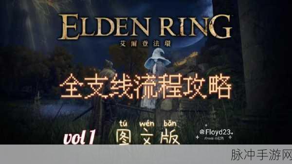 艾尔登法环手动保存全攻略详解,助你轻松应对冒险之旅无后顾之忧
