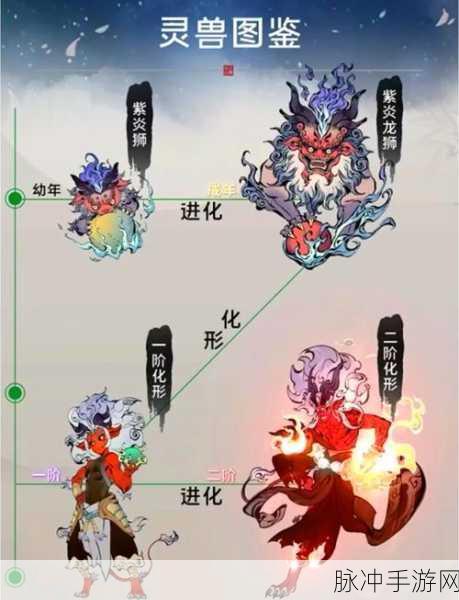 一念逍遥中领域点化的位置及点化玉的正确使用方式深度全解析