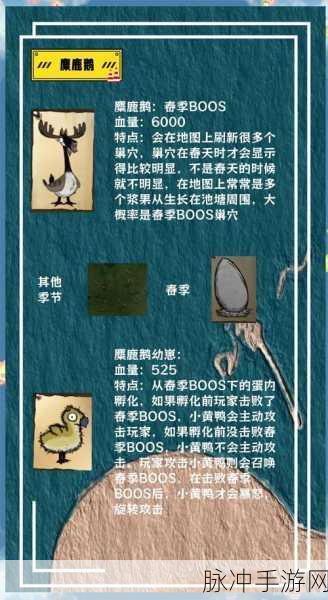 饥荒世界中螺丝钉的奇妙生存用途及其代码全面揭秘