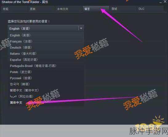 GTA5Steam版中文设置全攻略,轻松畅玩洛圣都