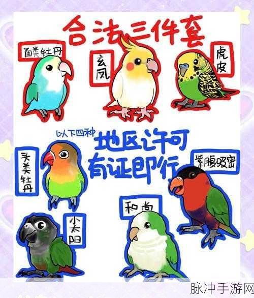 创造与魔法游戏内鹦鹉刷新时间全面揭秘，掌握刷新规律，助你轻松捕捉稀有鹦鹉！