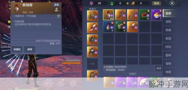 妄想山海手游攻略，跨服背包满了应对策略