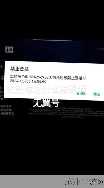 光遇封号三天事件深度解析与防范指南