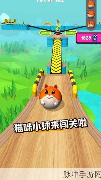 平衡猫下载,探索非常轻松有趣的闯关游戏之旅