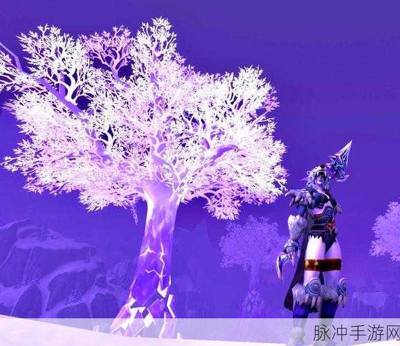 德鲁伊与盾牌，探索魔兽世界手游的全新玩法