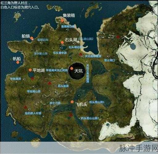 幻塔森林蜘蛛生态揭秘与位置全面指南