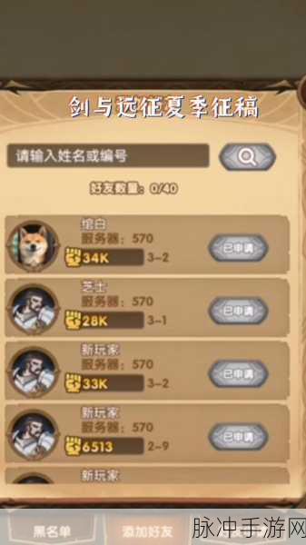 剑与远征抽卡保底机制详解,探索保底抽数的奥秘