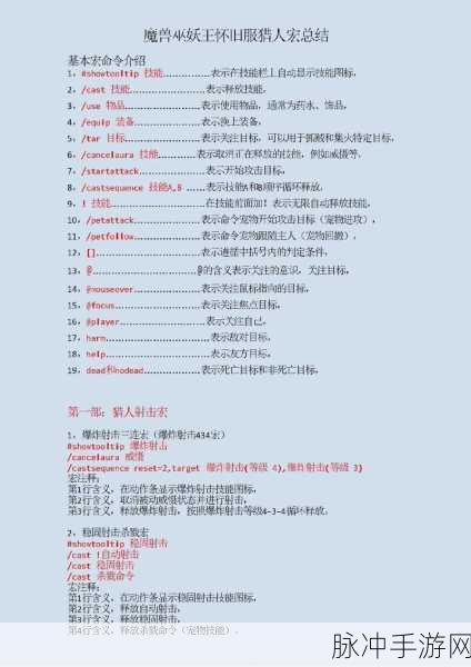 魔兽世界怀旧服射击猎人宏,解锁战斗效率与操作技巧新境界
