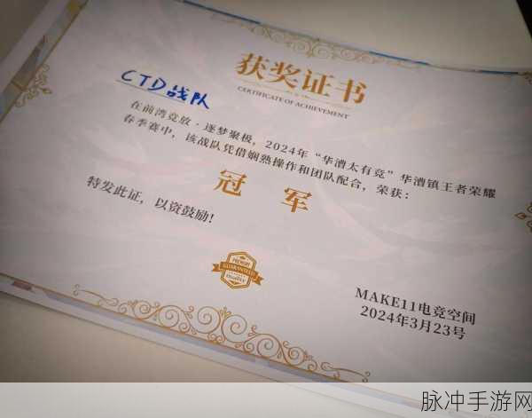 王者荣耀电竞选手认证全攻略，从新手到职业选手的蜕变之路