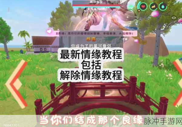 创造与魔法蓝莲刷新地点全揭秘,探索未知领域,追寻神秘蓝莲的奇幻之旅
