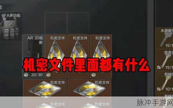 暗区突围手游精准度详解,提升射击命中的关键