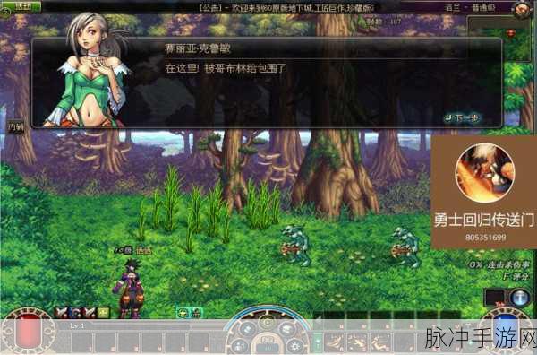韩服DNF代言人,引领潮流的传奇之星,解锁手游新纪元