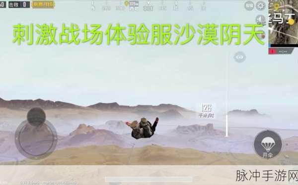 绝地求生大逃杀英文沟通全攻略，提升你的战场交流效率