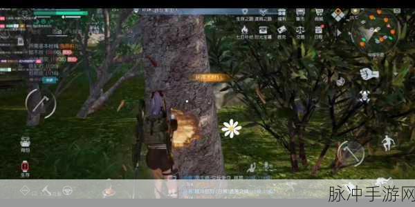 黎明觉醒手游画质优化全攻略,如何调至最高画质