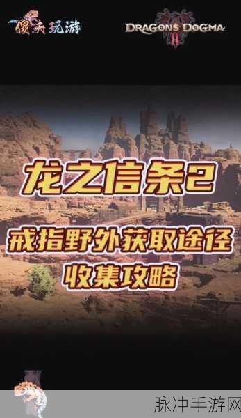 龙之信条2墨绿之森任务攻略详解,支线任务完成全指南