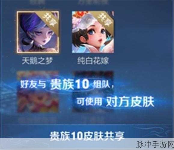 王者荣耀V10贵族特权,共享皮肤次数详解攻略