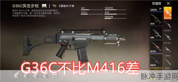 香肠派对精准射击步枪排行深度解析