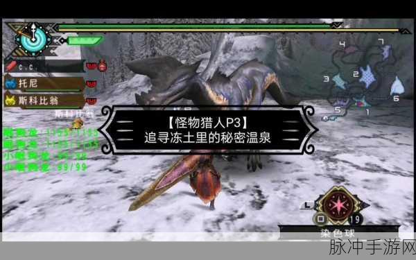 怪物猎人P3深度攻略，揭秘冻土秘境的进入方法