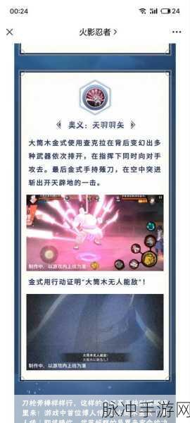 火影忍者手游大筒木金式博人传技能深度解析与攻略