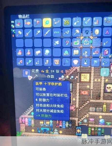 泰拉瑞亚十字章护身符制作全攻略,解锁强大防御力