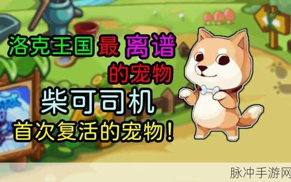 洛克王国手游攻略,柴可司机获取方法与步骤详解