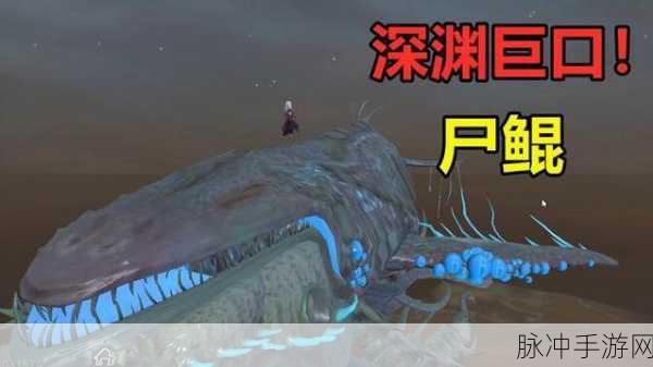 妄想山海鲲进化鹏,揭秘永久性的真相与攻略详解