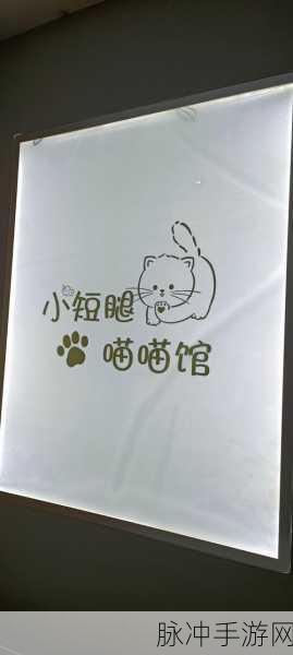 疯狂猫咪甜品店，打造你的梦幻甜品帝国