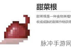 我的世界生存模式，甜菜根种子的获取秘籍