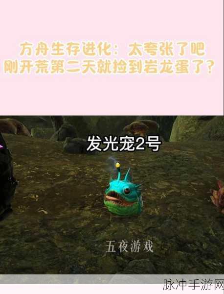 方舟生存进化,解锁龙蛋孵化的秘密技巧