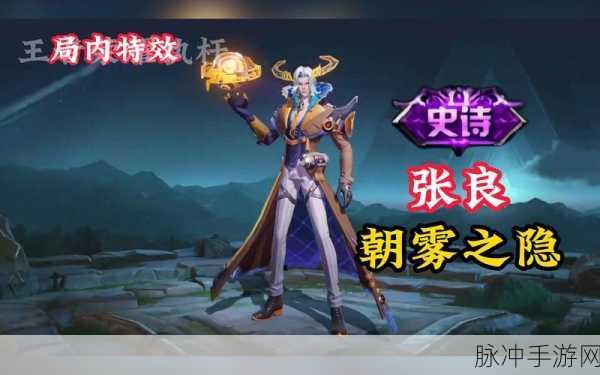 王者荣耀深度攻略，揭秘智者张良的高端玩家解析