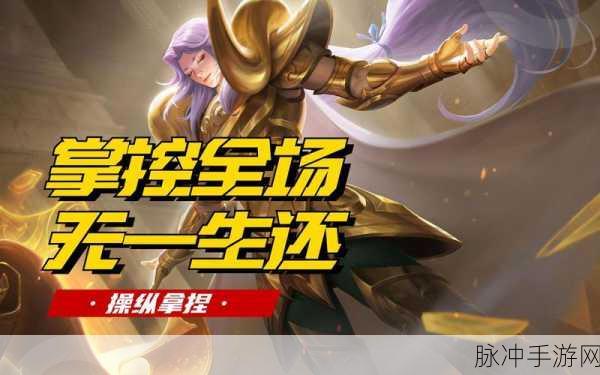 王者荣耀深度攻略,揭秘智者张良的高端玩家解析