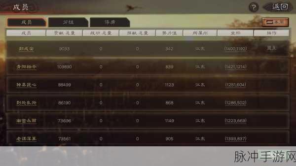 三国志战略版深度解析,武将星级的重要性与培养策略