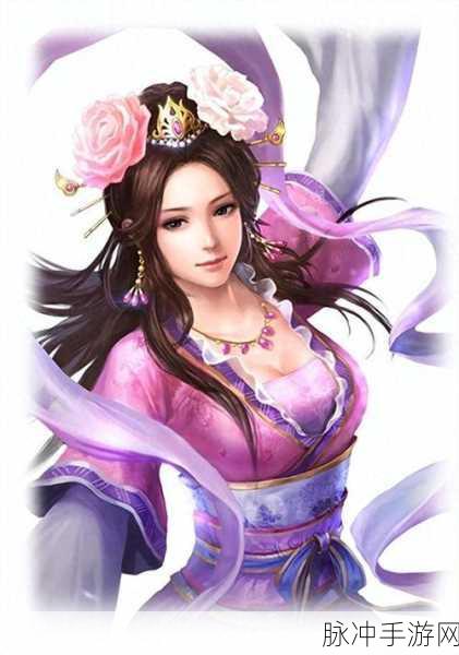 三国志13娶貂蝉玩法流程深度分享与介绍