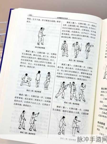 大航海时代OL深度攻略,陆战技巧修炼秘籍大公开
