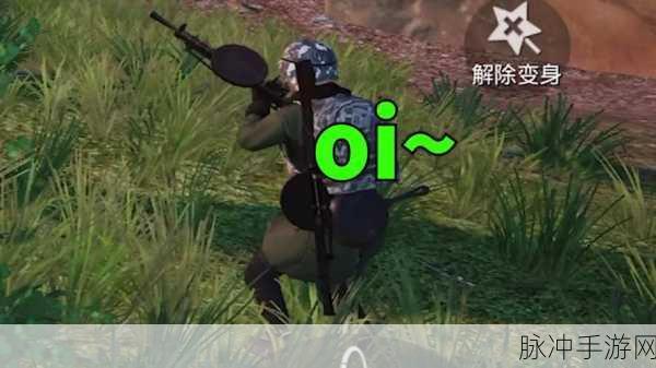 伪装艺术3D,解锁休闲闯关新乐趣的游戏攻略