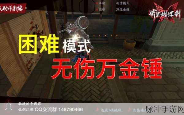 流星蝴蝶剑手游深度攻略，万金锤追小偷全解析