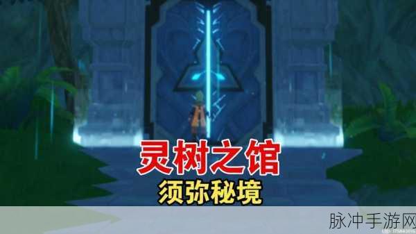 原神秘境副本深度玩法攻略,解锁你的冒险之旅