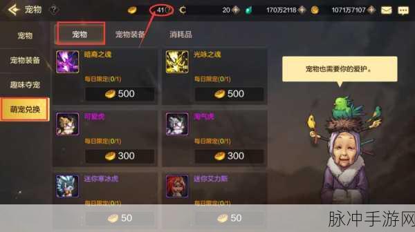 DNF手游，魔法职业宠物的独特魅力与优选指南